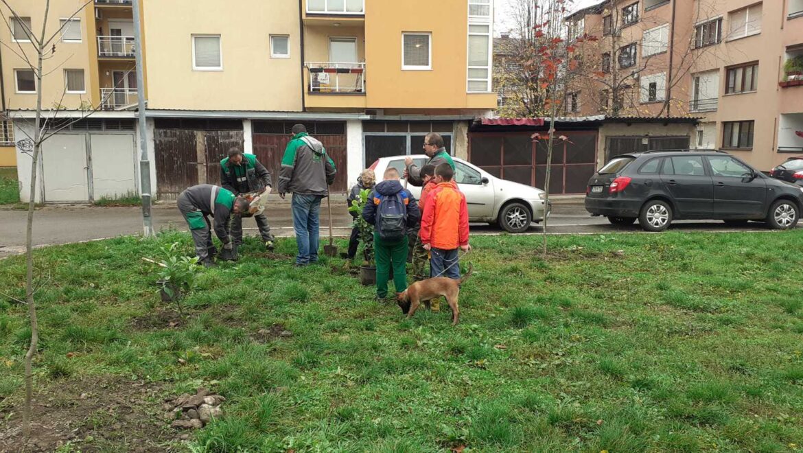 Eko toplane donirale, a zaposleni posadili sadnice u Obilićevu